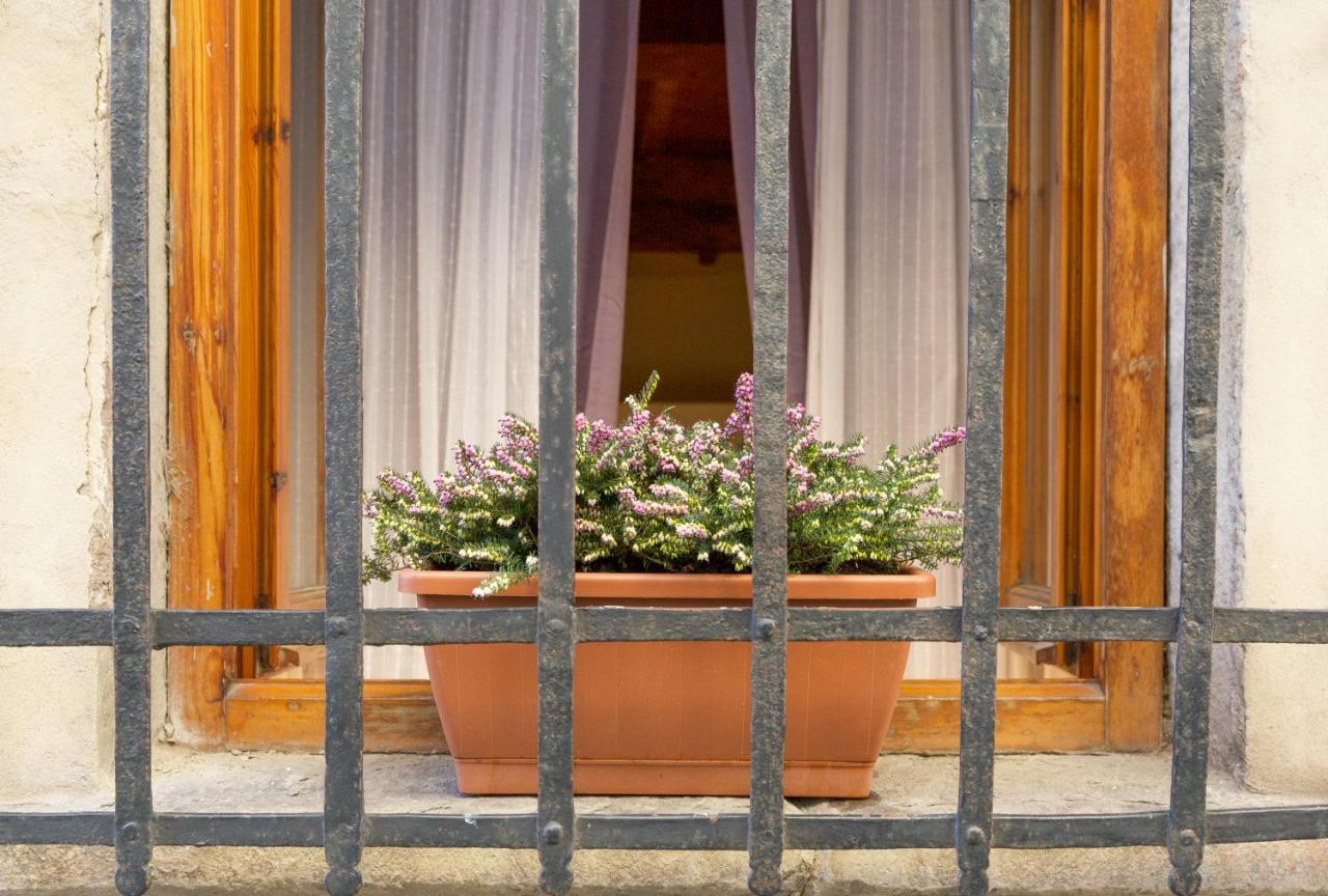San Frediano District - Apartment Florencie Exteriér fotografie